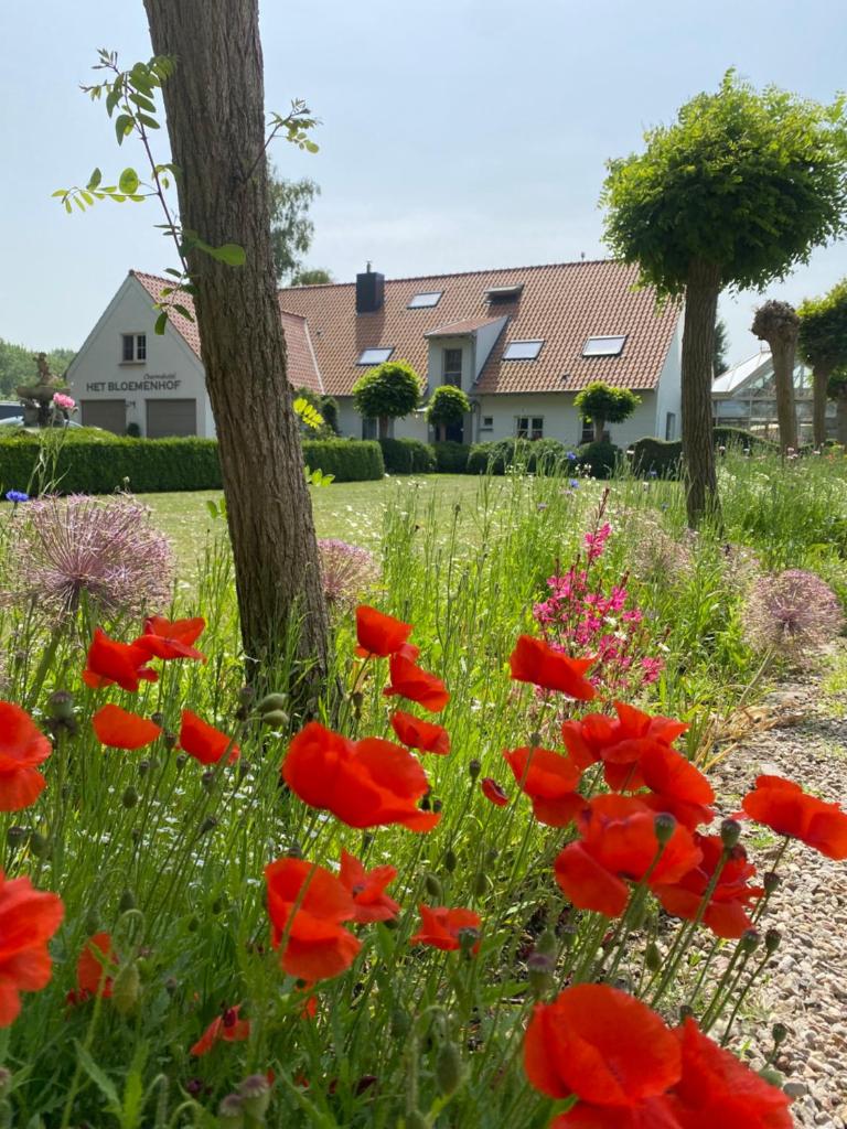 Boutique hotel Het Bloemenhof photo 2