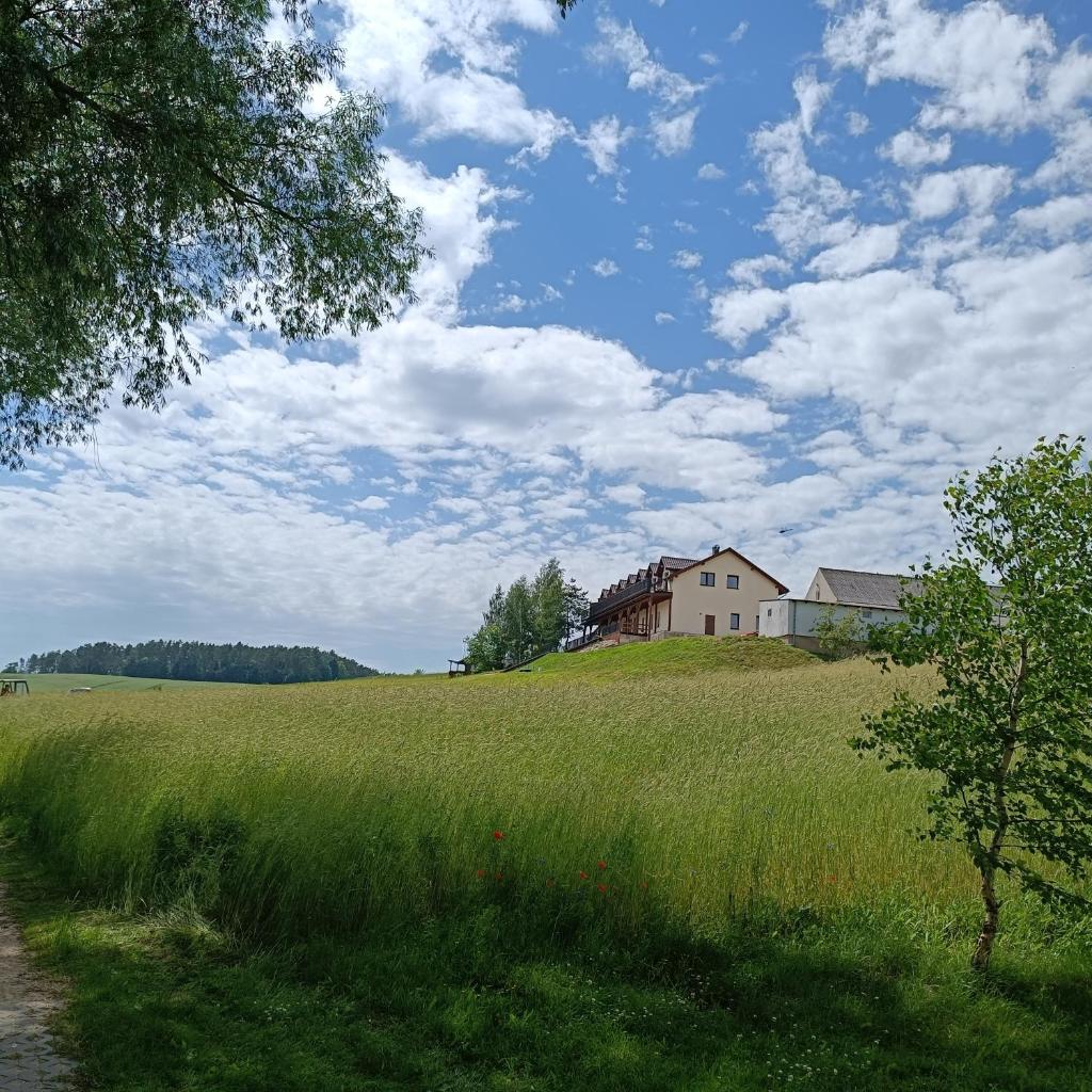 Azyl Widoki photo 4