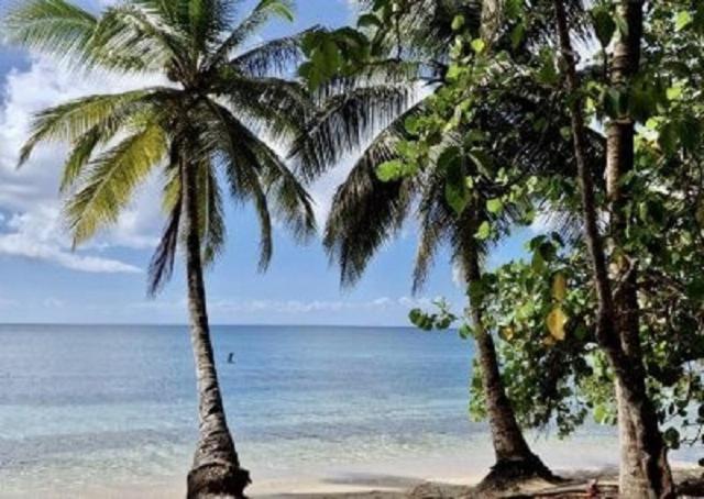 Touloukaera appt 303 Plage Kawann photo 3