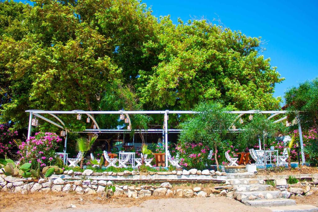 Naz Beach Bungalow Hotel in Antalya photo 4