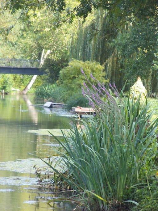 Gîte Gaïa, calme dans marais Poitevin photo 2