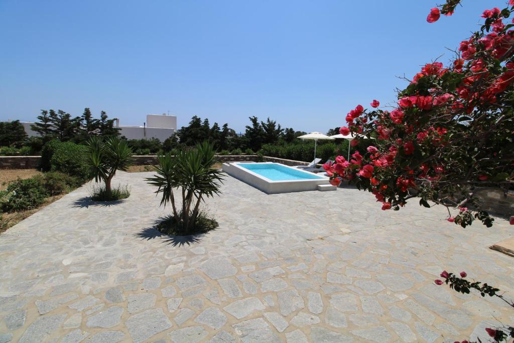 Blue Xenia - Villa 4 photo 3