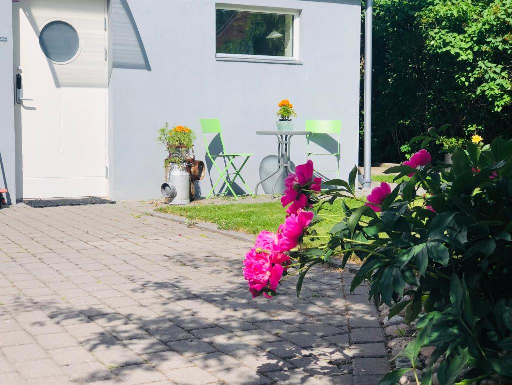 Lovely studio in the citycenter of Sigtuna photo 2
