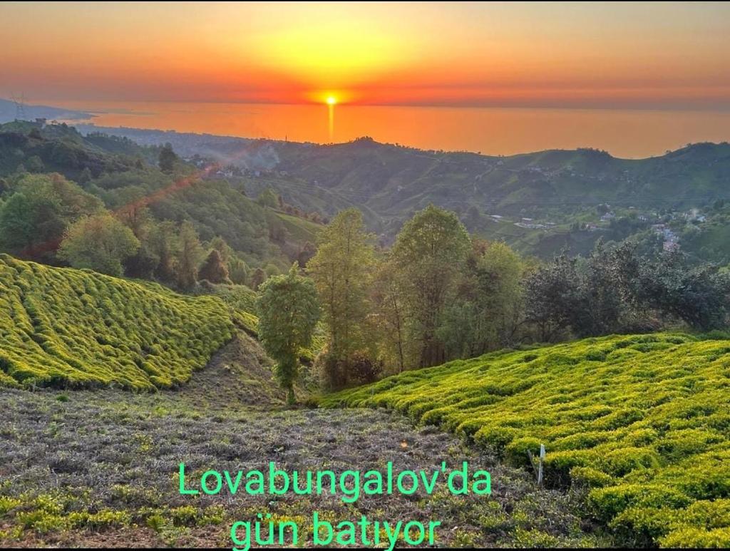 LOVA BUNGALOV photo 1