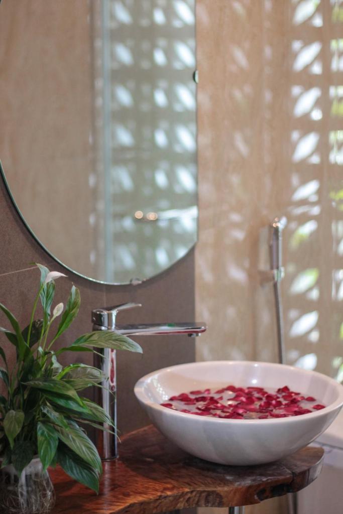 Cocoon Tam Coc Homestay