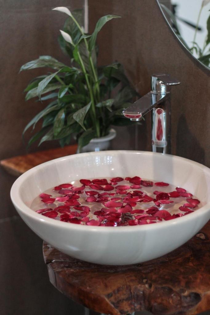 Cocoon Tam Coc Homestay