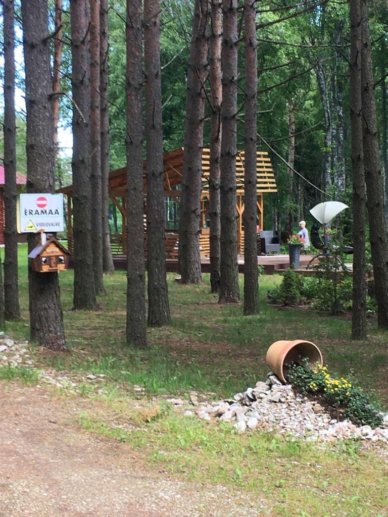 Reinholdi puhkemaja photo 2