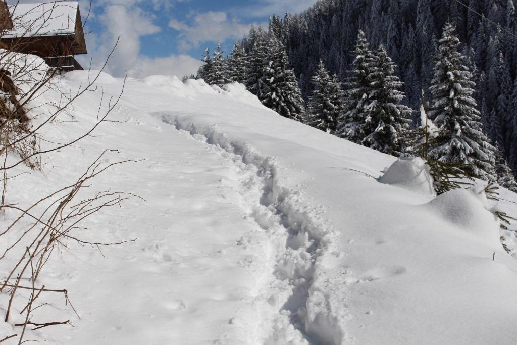Bad Bergfallerhof photo 4