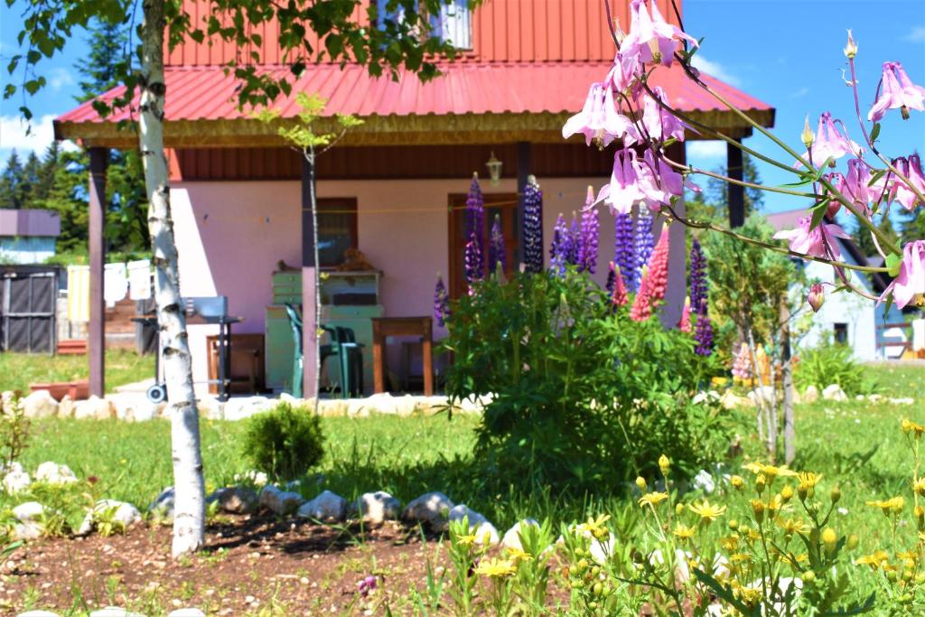 Šepić Accommodation photo 2