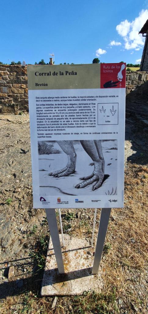 Casa Rural T-Rex photo 4