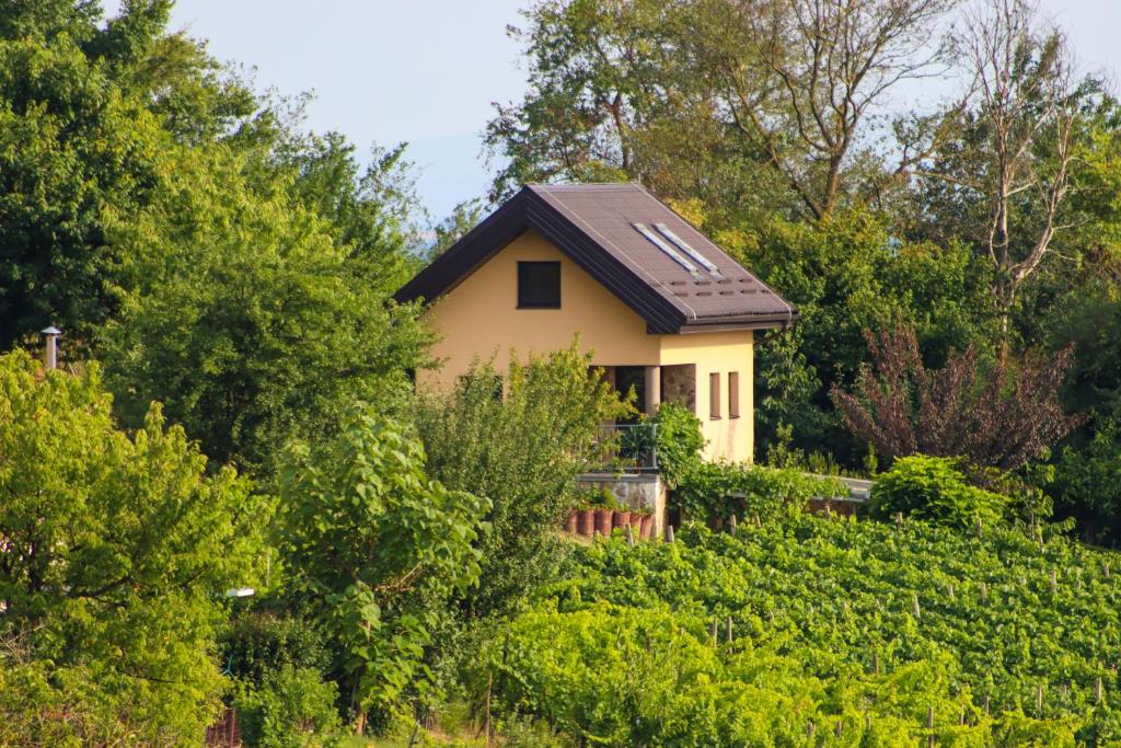 Počitniška hiška pod Hadikom photo 4