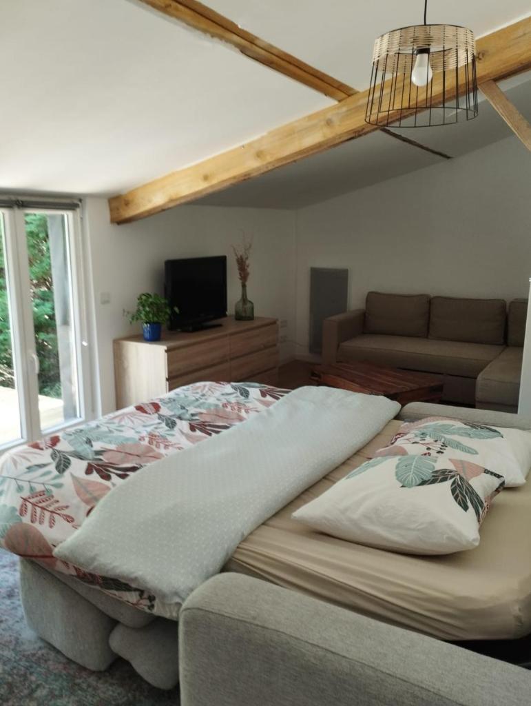 Guest house aux portes du Bassin d'Arcachon photo 3