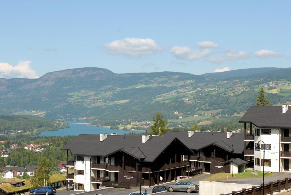 Alpin Apartments Sørlia photo 1