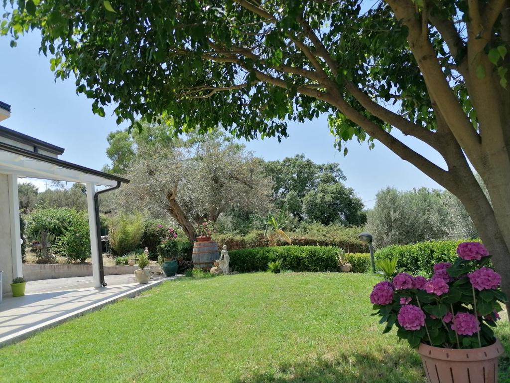 Villa La Rosa photo 1