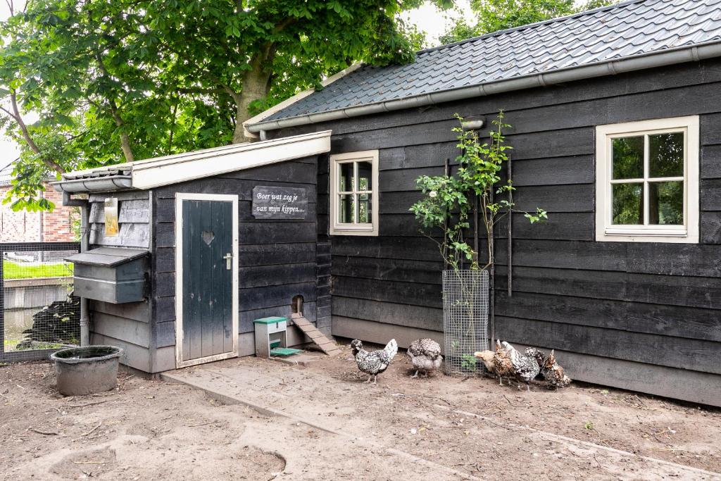 Cottage 'Onder de boompjes' photo 3