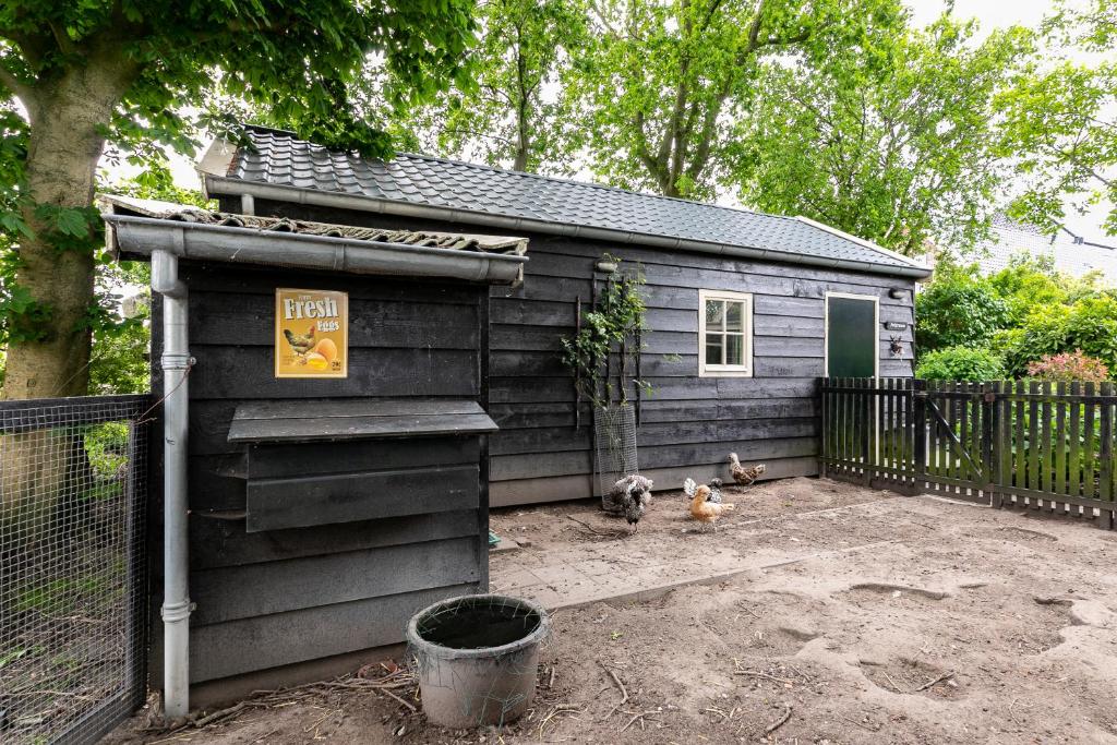 Cottage 'Onder de boompjes' photo 1