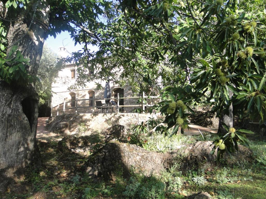 Finca la Colorá photo 3