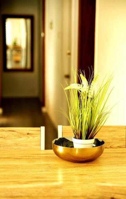 שמילה אירוח 2 photo 1