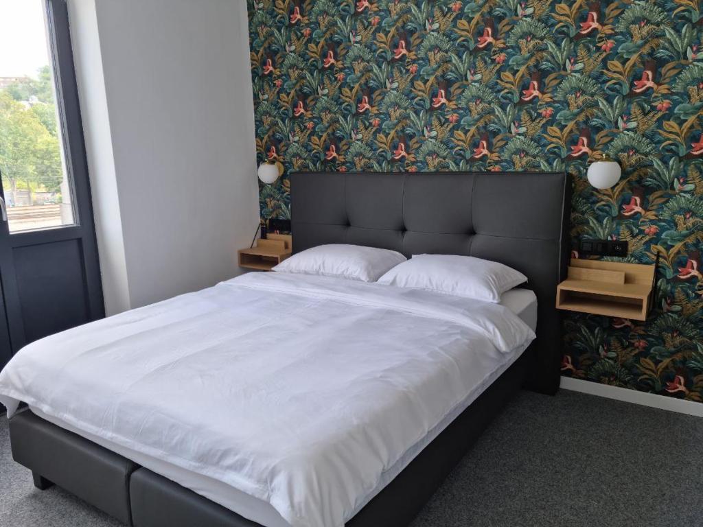 BED Cauchy photo 3