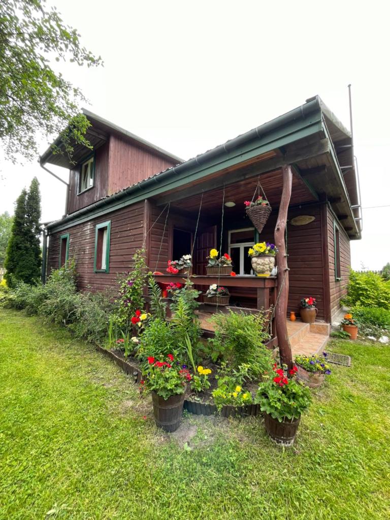 Dom na skraju Puszczy Białowieskiej photo 3