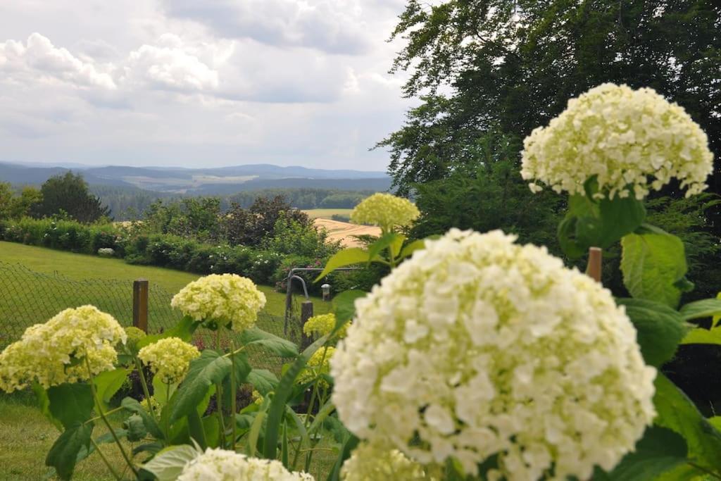 Panorama Garten-Apartment in Marburg photo 2