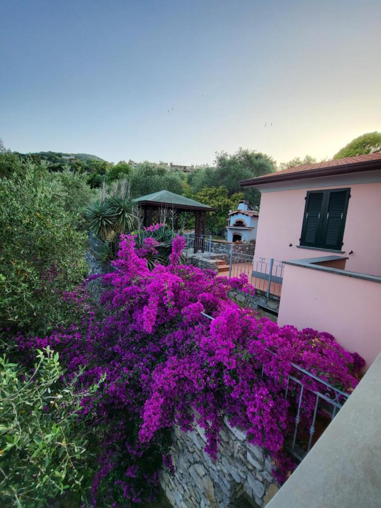 Villa Il Pettirosso photo 3