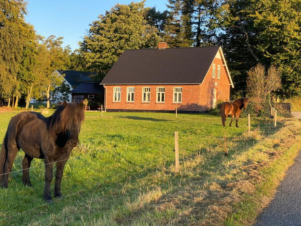 Hyggelig aftægtsbolig i hjertet af Sønderjylland photo 1