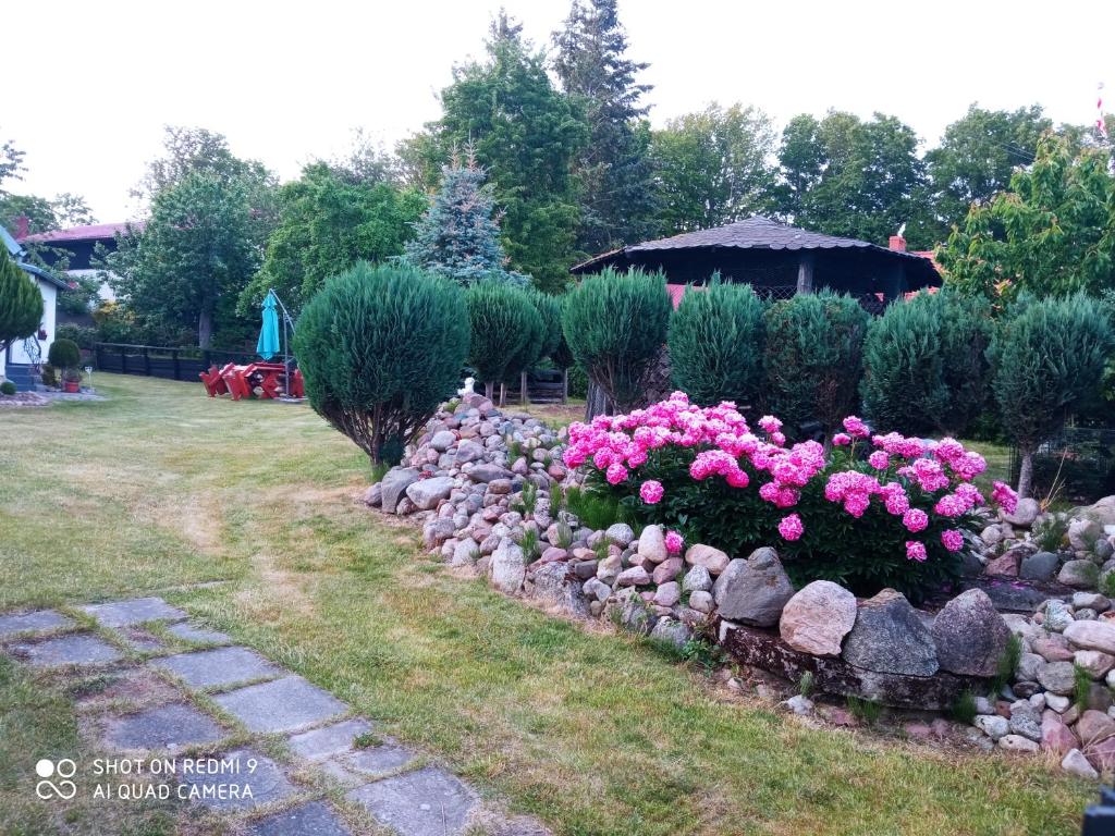 PPO 575 photo 3