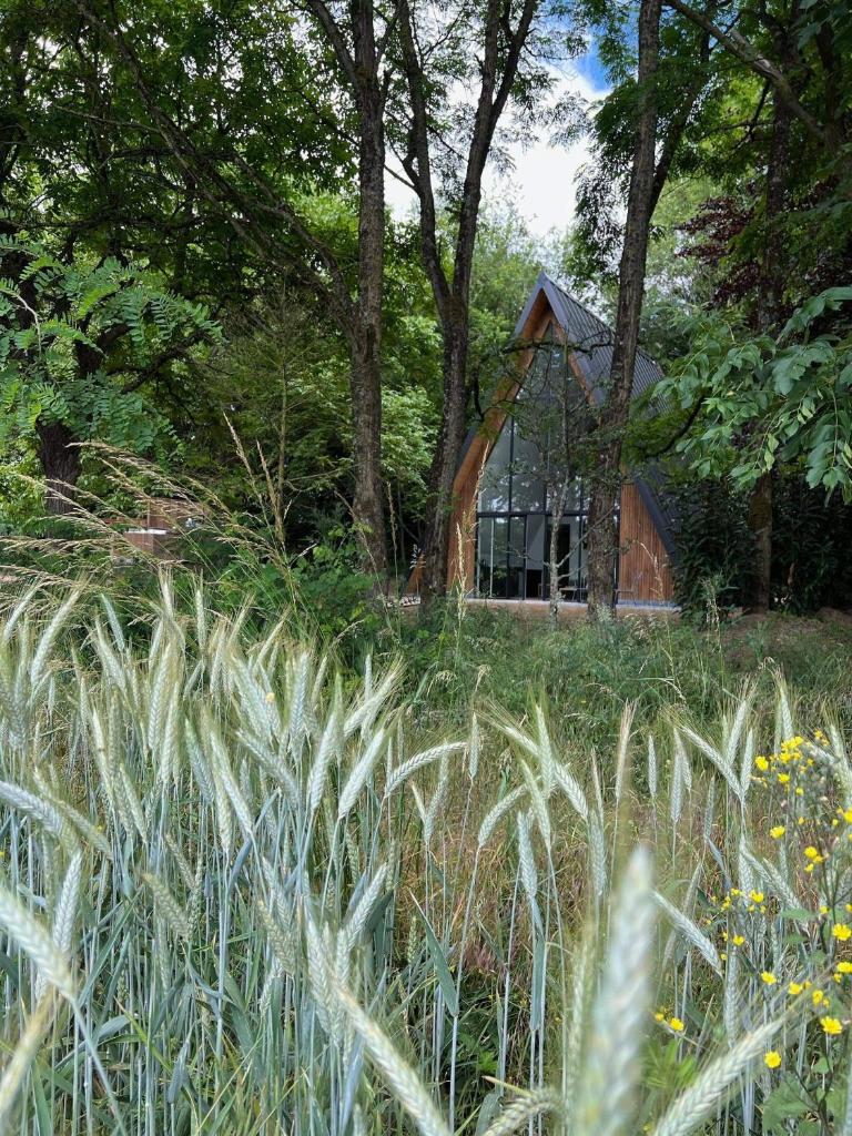 La Maison Villeneuve - Lodges avec bains nordiques photo 1
