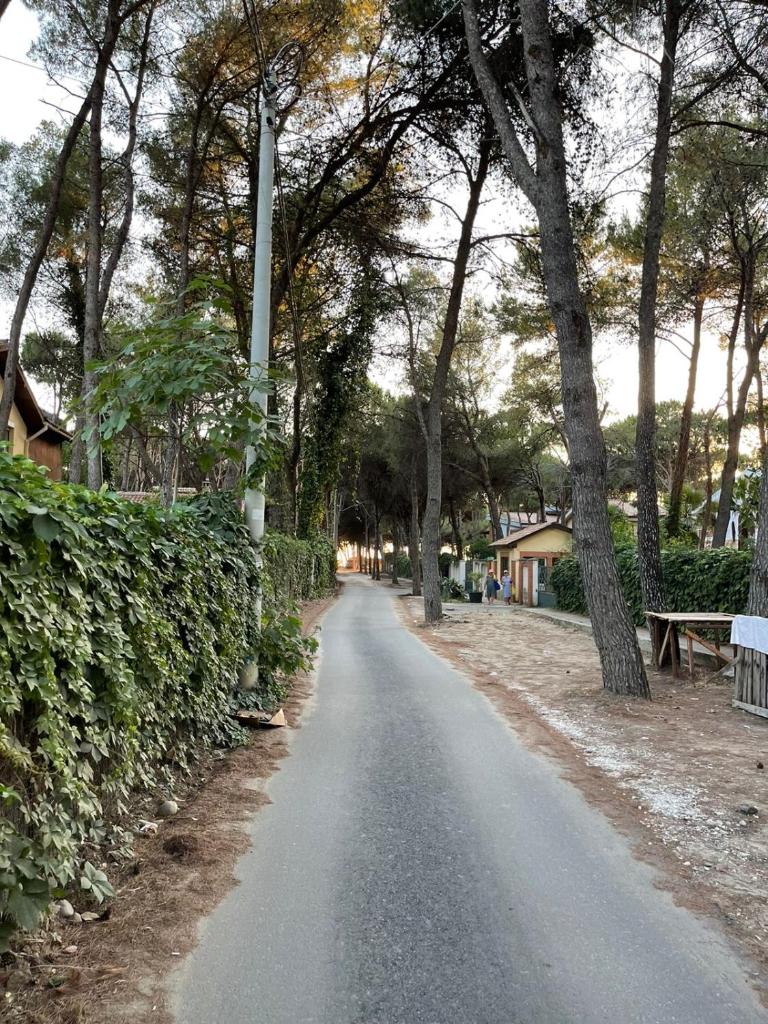 Amad beach apartament photo 3
