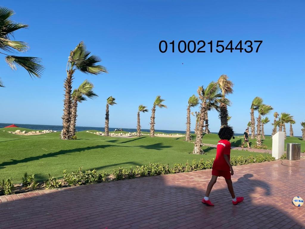 شقة غرفتين وصاله- بورتوسعيد Porto Said Resort photo 1