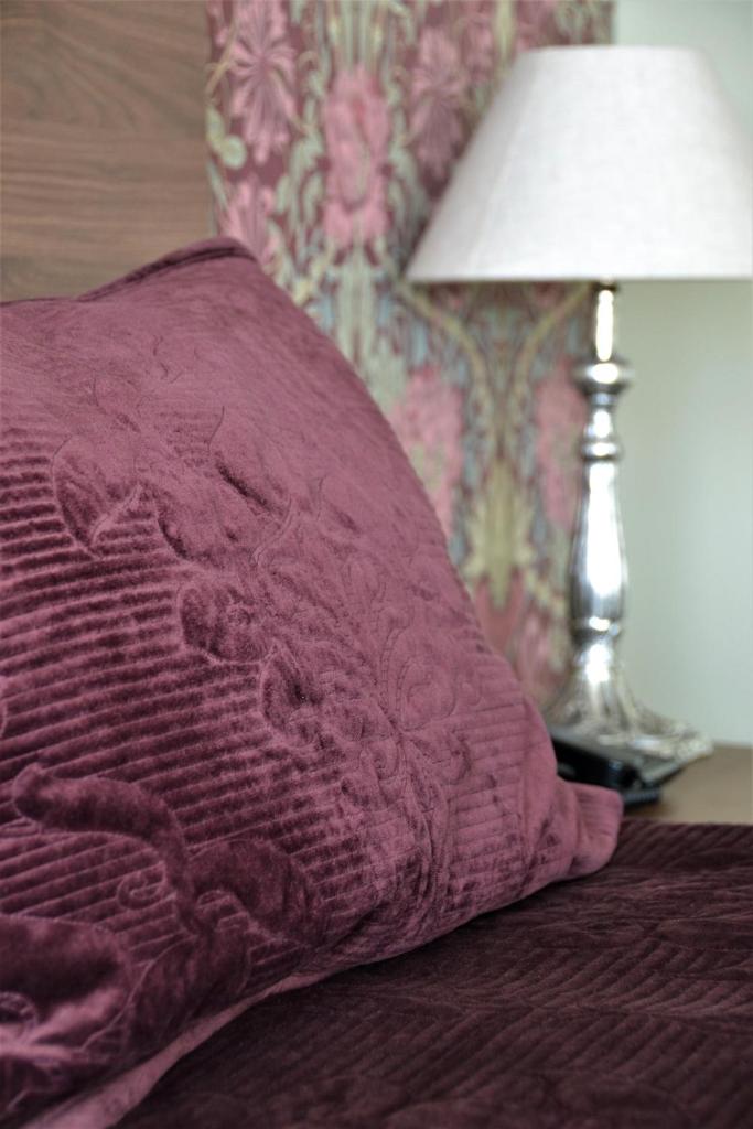 Brydone Hotel Oamaru photo 4