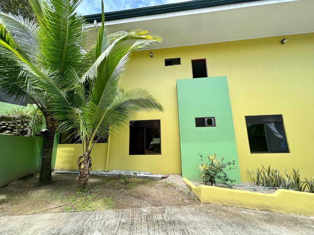 Yellow House photo 3