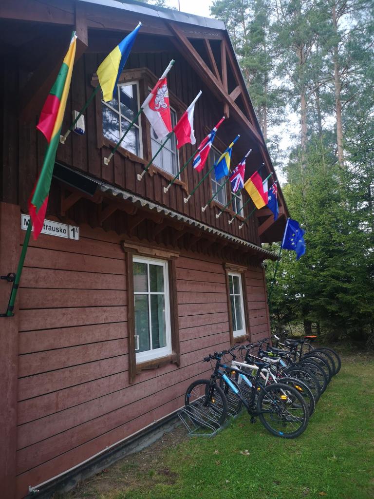 Palūšės Kempingas (kambariai) photo 2