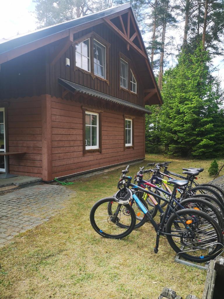Palūšės Kempingas (kambariai) photo 3