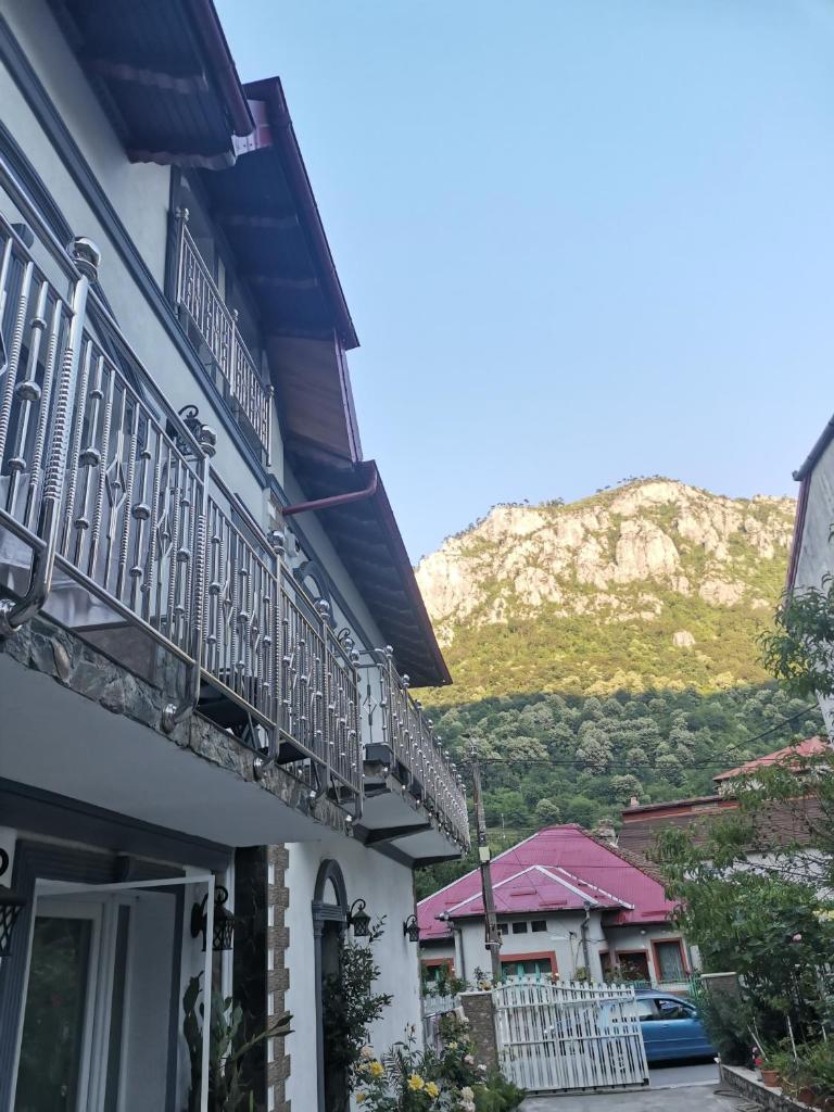 Casa Papava photo 3