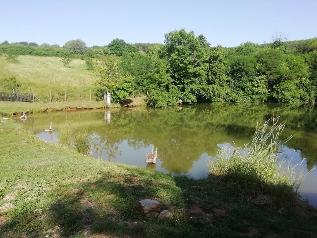Vlajina brvnara photo 3