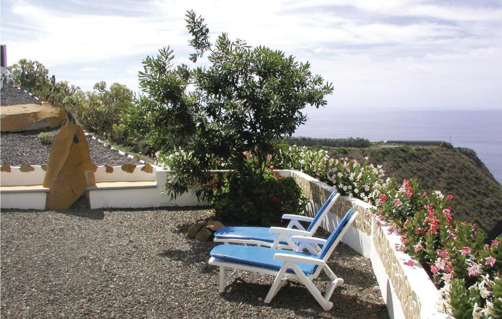 Casita Acerina Ii
