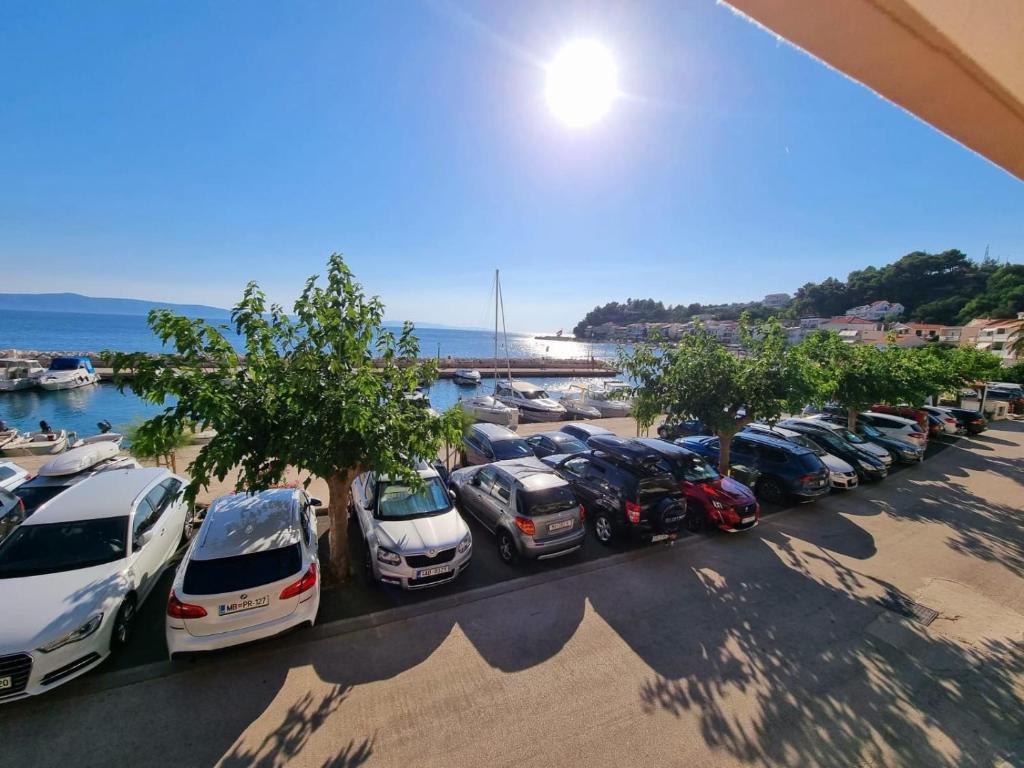 Apartman Ruža photo 2