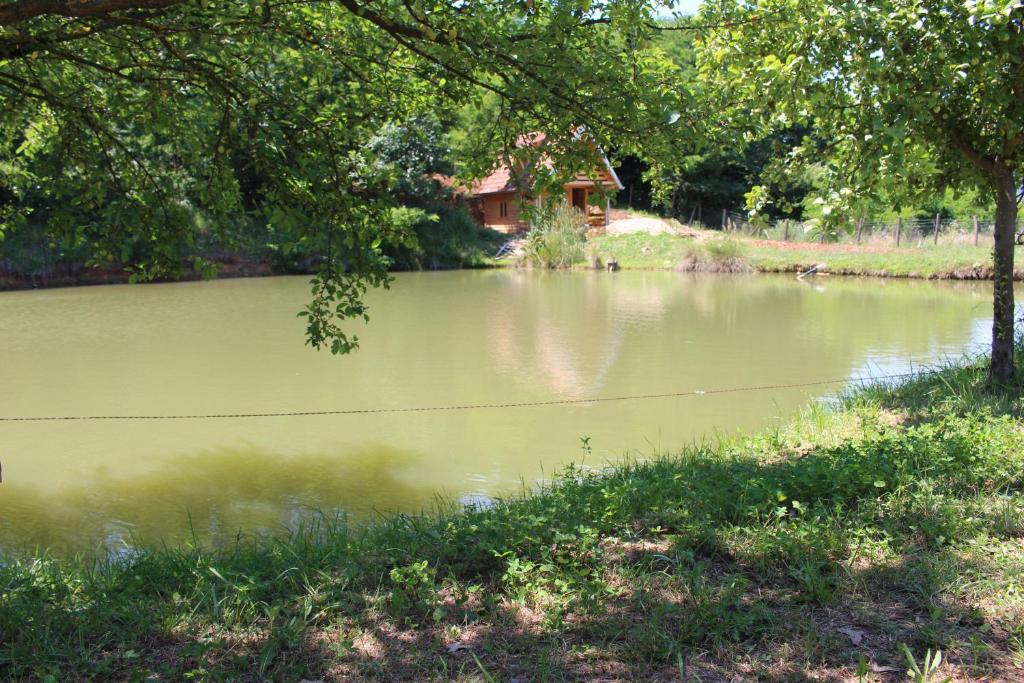 Vlajina brvnara photo 1