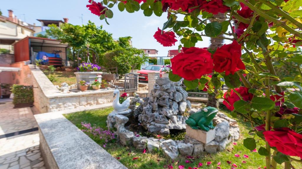 Apartments in City Centar of Lovely Vrsar photo 3