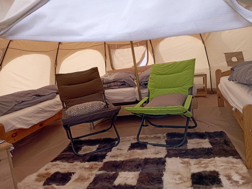 Natuur-like Glamping in Bosland photo 4