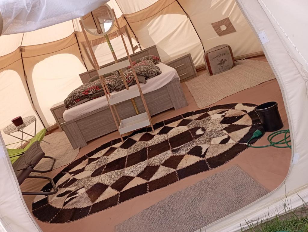 Natuur-like Glamping in Bosland photo 1