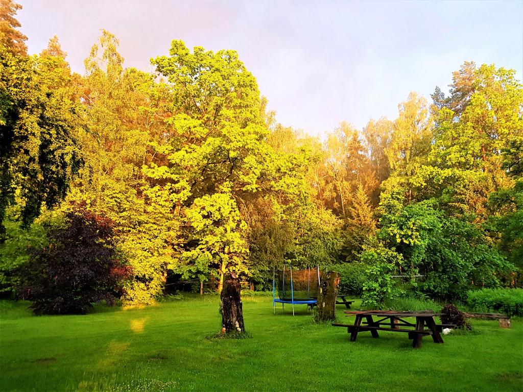 Białowieska Leśniczówka "U Jasia i Małgosi" photo 3