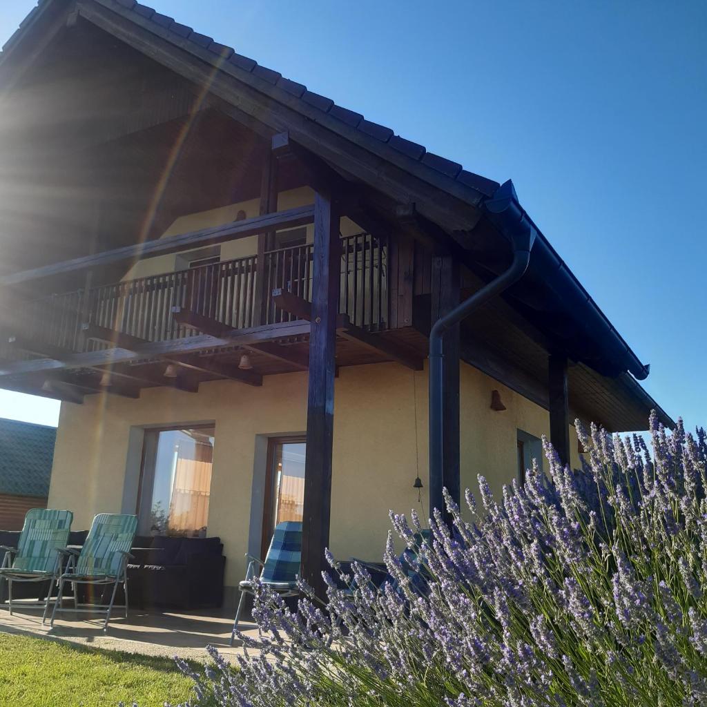 Sovica holiday home & tree house photo 4