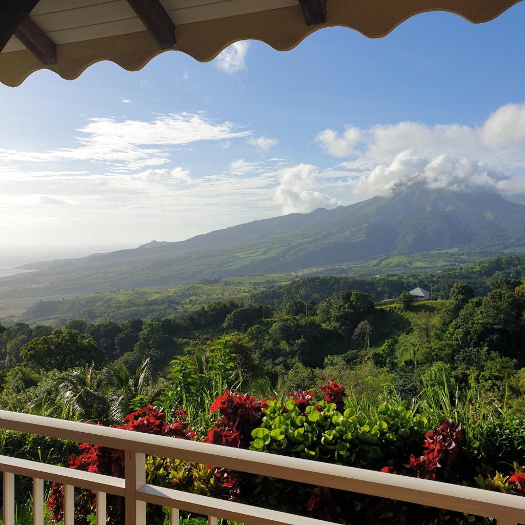 LES HAMEAUX DU MORNE DES CADETS photo 2