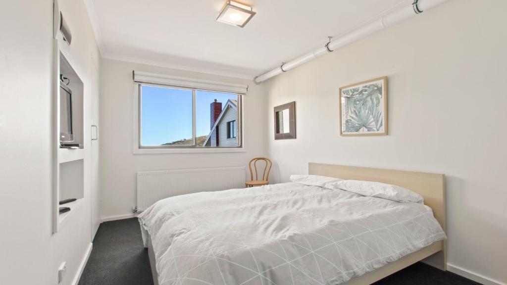 Lawlers 36C photo 3