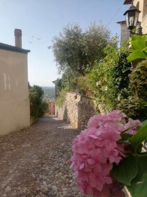 CA'ROSA an Italian experience in the old town photo 4