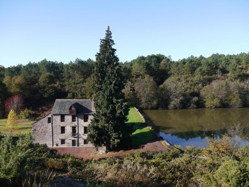 MOULIN Menhirs & zone naturelle protégée photo 1