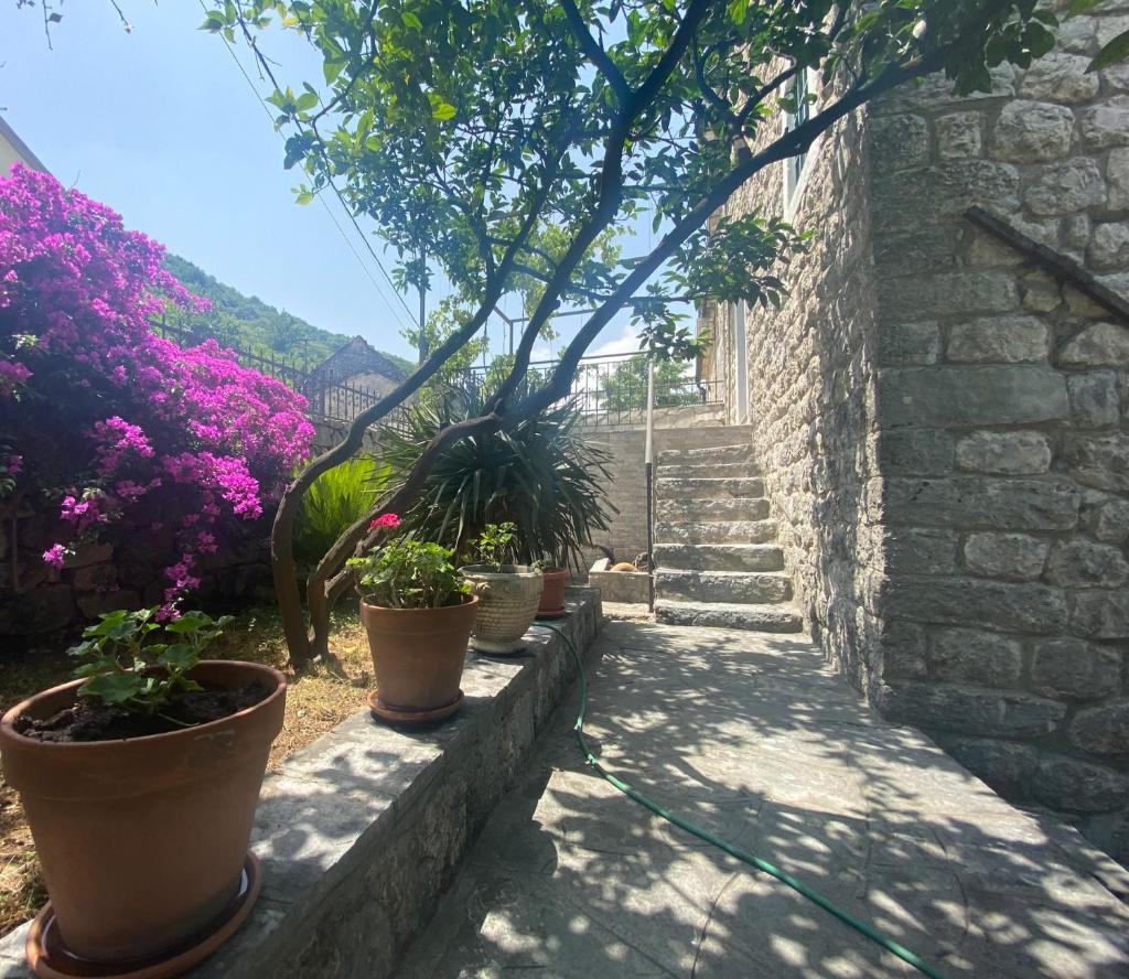 House with a pier photo 4